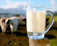 ÎŒÎ»Î· Î· Î±Î»Î®Î¸ÎµÎ¹Î± Î³Î¹Î± 8 ÎºÎ¿Î¹Î½Î¿ÏÏ‚ Î¼ÏÎ¸Î¿Ï…Ï‚ ÏƒÏ‡ÎµÏ„Î¹ÎºÎ¬ Î¼Îµ Ï„Î¿ Î³Î¬Î»Î±!live-in | Η Έξυπνη, Αντικειμενική και Εναλλακτική Ενημέρωση!