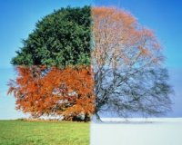 Î”ÎµÎ¯Ï„Îµ Ï„Î¹ Ï€ÏÎ­Ï€ÎµÎ¹ Î½Î± Ï„ÏÏŽÏ„Îµ ÎºÎ¬Î¸Îµ Î¼Î®Î½Î± Î³Î¹Î± Î½Î± ÎµÎ¯ÏƒÏ„Îµ ÎµÎ½Ï„ÏŒÏ‚ ÎµÏ€Î¿Ï‡Î®Ï‚!live-in | Η Έξυπνη, Αντικειμενική και Εναλλακτική Ενημέρωση!