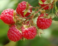 Î¤ÏÎ¿Ï†Î­Ï‚ Ï€Î¿Ï… Î²Î¿Î·Î¸Î¿ÏÎ½ Ï„Î¿Î½ Î¼ÎµÏ„Î±Î²Î¿Î»Î¹ÏƒÎ¼ÏŒ!live-in | Η Έξυπνη, Αντικειμενική και Εναλλακτική Ενημέρωση!