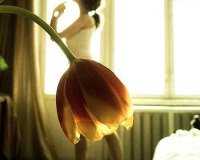 Î§Ï‰ÏÎ¯Ï‚ Photoshop (Î¼Î­ÏÎ¿Ï‚ 1Î¿)live-in | Η Έξυπνη, Αντικειμενική και Εναλλακτική Ενημέρωση!