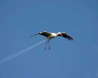 Î§Ï‰ÏÎ¯Ï‚ Photoshop (Î¼Î­ÏÎ¿Ï‚ 2Î¿)live-in | Η Έξυπνη, Αντικειμενική και Εναλλακτική Ενημέρωση!