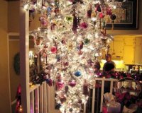 Î¤Î± Ï€Î¹Î¿ Ï€ÏÏ‰Ï„ÏŒÏ„Ï…Ï€Î± Ï‡ÏÎ¹ÏƒÏ„Î¿Ï…Î³ÎµÎ½Î½Î¹Î¬Ï„Î¹ÎºÎ± Î´Î­Î½Ï„ÏÎ±live-in | Η Έξυπνη, Αντικειμενική και Εναλλακτική Ενημέρωση!