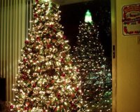 Î¤Î± Ï€Î¹Î¿ Ï€ÏÏ‰Ï„ÏŒÏ„Ï…Ï€Î± Ï‡ÏÎ¹ÏƒÏ„Î¿Ï…Î³ÎµÎ½Î½Î¹Î¬Ï„Î¹ÎºÎ± Î´Î­Î½Ï„ÏÎ±live-in | Η Έξυπνη, Αντικειμενική και Εναλλακτική Ενημέρωση!