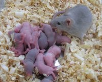 Î¤Î± ÏƒÎ·Î¼Î±Î½Ï„Î¹ÎºÏŒÏ„ÎµÏÎ± ÎµÏ€Î¹Ï„ÎµÏÎ³Î¼Î±Ï„Î± Ï„Î¿Ï… 2012 ÏƒÏÎ¼Ï†Ï‰Î½Î± Î¼Îµ Ï„Î¿ Science!!!live-in | Η Έξυπνη, Αντικειμενική και Εναλλακτική Ενημέρωση!