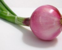 Î— Î”Î¹Î±Ï„ÏÎ¿Ï†Î¹ÎºÎ® Î‘Î¾Î¯Î± Î¤Î¿Ï… ÎšÏÎµÎ¼Î¼Ï…Î´Î¹Î¿Ï!live-in | Η Έξυπνη, Αντικειμενική και Εναλλακτική Ενημέρωση!