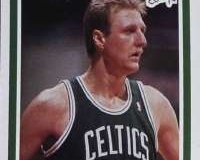 ÎžÎ­ÏÎµÏ„Îµ Ï€Î¿Î¹Î¿ ÎµÎ¯Î½Î±Î¹ Ï„Î¿ ÏŒÎ½Î¿Î¼Î± Ï„Î¿Ï… Ï€Î¿Ï…Î»Î¹Î¿Ï ÏƒÏ„Î¿ twitter;live-in | Η Έξυπνη, Αντικειμενική και Εναλλακτική Ενημέρωση!