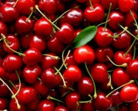 Î Î¿Î¹Î­Ï‚ Ï„ÏÎ¿Ï†Î­Ï‚ ÎµÎ¯Î½Î±Î¹ Ï€Î»Î¿ÏÏƒÎ¹ÎµÏ‚ ÏƒÎµ Î²Î¹Ï„Î±Î¼Î¯Î½Î· C;live-in | Η Έξυπνη, Αντικειμενική και Εναλλακτική Ενημέρωση!