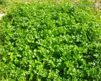 Î Î¿Î¹Î­Ï‚ Ï„ÏÎ¿Ï†Î­Ï‚ ÎµÎ¯Î½Î±Î¹ Ï€Î»Î¿ÏÏƒÎ¹ÎµÏ‚ ÏƒÎµ Î²Î¹Ï„Î±Î¼Î¯Î½Î· C;live-in | Η Έξυπνη, Αντικειμενική και Εναλλακτική Ενημέρωση!