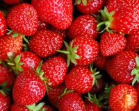 Î Î¿Î¹Î­Ï‚ Ï„ÏÎ¿Ï†Î­Ï‚ ÎµÎ¯Î½Î±Î¹ Ï€Î»Î¿ÏÏƒÎ¹ÎµÏ‚ ÏƒÎµ Î²Î¹Ï„Î±Î¼Î¯Î½Î· C;live-in | Η Έξυπνη, Αντικειμενική και Εναλλακτική Ενημέρωση!