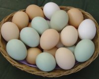 Î Ï‰Ï‚ Î¸Î± ÎºÎ±Ï„Î±Î»Î¬Î²ÎµÏ„Îµ Î±Î½ Ï„Î± Î±Ï…Î³Î¬ ÏƒÎ±Ï‚ ÎµÎ¯Î½Î±Î¹ Ï†ÏÎ­ÏƒÎºÎ±;live-in | Η Έξυπνη, Αντικειμενική και Εναλλακτική Ενημέρωση!