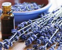 Î Ï‰Ï‚ Î½Î± Î¼Ï…ÏÎ¯Î¶ÎµÎ¹ ÏŒÎ¼Î¿ÏÏ†Î± Ï„Î¿ ÏƒÏ€Î¯Ï„Î¹!live-in | Η Έξυπνη, Αντικειμενική και Εναλλακτική Ενημέρωση!