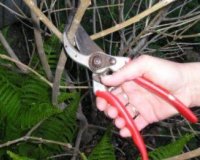 ÎšÎ»Î¬Î´ÎµÎ¼Î±: ÎºÎ¬Ï€Î¿Î¹Î± Î²Î±ÏƒÎ¹ÎºÎ¬ tipslive-in | Η Έξυπνη, Αντικειμενική και Εναλλακτική Ενημέρωση!