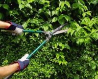 ÎšÎ»Î¬Î´ÎµÎ¼Î±: ÎºÎ¬Ï€Î¿Î¹Î± Î²Î±ÏƒÎ¹ÎºÎ¬ tipslive-in | Η Έξυπνη, Αντικειμενική και Εναλλακτική Ενημέρωση!