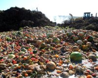 Î£Ï„Î± ÏƒÎºÎ¿Ï…Ï€Î¯Î´Î¹Î± ÎºÎ±Ï„Î±Î»Î®Î³ÎµÎ¹ Ï„Î¿ 50% Ï„Ï‰Î½ Ï„ÏÎ¿Ï†Î¯Î¼Ï‰Î½ Ï€Î±Î³ÎºÎ¿ÏƒÎ¼Î¯Ï‰Ï‚live-in | Η Έξυπνη, Αντικειμενική και Εναλλακτική Ενημέρωση!