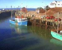 Î¤Î¿ Ï†Î±Î¹Î½ÏŒÎ¼ÎµÎ½Î¿ Ï„Î·Ï‚ Ï€Î±Î»Î¯ÏÏÎ¿Î¹Î±Ï‚ ÏƒÎµ fast forwardlive-in | Η Έξυπνη, Αντικειμενική και Εναλλακτική Ενημέρωση!