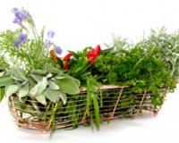 Î¤Î± Î²ÏŒÏ„Î±Î½Î± ÏƒÏ„Î± Î¿Ï€Î¿Î¯Î± "Ï…Ï€Î¿ÎºÎ»Î¯Î½Î¿Î½Ï„Î±Î¹" Î¿Î¹ ÎµÏ€Î¹ÏƒÏ„Î®Î¼Î¿Î½ÎµÏ‚!live-in | Η Έξυπνη, Αντικειμενική και Εναλλακτική Ενημέρωση!