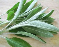 Î¤Î± Î²ÏŒÏ„Î±Î½Î± ÏƒÏ„Î± Î¿Ï€Î¿Î¯Î± "Ï…Ï€Î¿ÎºÎ»Î¯Î½Î¿Î½Ï„Î±Î¹" Î¿Î¹ ÎµÏ€Î¹ÏƒÏ„Î®Î¼Î¿Î½ÎµÏ‚!live-in | Η Έξυπνη, Αντικειμενική και Εναλλακτική Ενημέρωση!