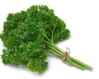 Î¤Î± Î²ÏŒÏ„Î±Î½Î± ÏƒÏ„Î± Î¿Ï€Î¿Î¯Î± "Ï…Ï€Î¿ÎºÎ»Î¯Î½Î¿Î½Ï„Î±Î¹" Î¿Î¹ ÎµÏ€Î¹ÏƒÏ„Î®Î¼Î¿Î½ÎµÏ‚!live-in | Η Έξυπνη, Αντικειμενική και Εναλλακτική Ενημέρωση!