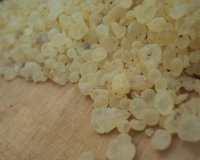 Î¤Î¿ Î¸Î±Ï…Î¼Î±Ï„Î¿Ï…ÏÎ³ÏŒ Î´Î¬ÎºÏÏ… Ï„Î¿Ï… Î¼Î±ÏƒÏ„Î¹Ï‡ÏŒÎ´ÎµÎ½Î´ÏÎ¿Ï…!live-in | Η Έξυπνη, Αντικειμενική και Εναλλακτική Ενημέρωση!