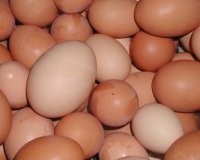 Î¤Î± 10 ÏƒÏ…Î½Î·Î¸Î­ÏƒÏ„ÎµÏÎ± Î»Î¬Î¸Î· Ï€Î¿Ï… ÎºÎ¬Î½Î¿Ï…Î½ ÏŒÏƒÎ¿Î¹ Î­Ï‡Î¿Ï…Î½ Ï‡Î¿Î»Î·ÏƒÏ„ÎµÏÎ¯Î½Î·!live-in | Η Έξυπνη, Αντικειμενική και Εναλλακτική Ενημέρωση!