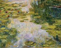 ÎŸÎ¹ Ï€Î¹Î¿ Î±ÎºÏÎ¹Î²Î¿Î¯ Ï€Î¯Î½Î±ÎºÎµÏ‚ Ï„Î¿Ï… ÎºÏŒÏƒÎ¼Î¿Ï…live-in | Η Έξυπνη, Αντικειμενική και Εναλλακτική Ενημέρωση!