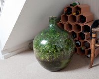 Î¦Ï…Ï„ÏŒ Ï€Î¿Ï… Î¶ÎµÎ¹ Ï‡Ï‰ÏÎ¯Ï‚ Î±Î­ÏÎ± ÎºÎ±Î¹ Î½ÎµÏÏŒ!live-in | Η Έξυπνη, Αντικειμενική και Εναλλακτική Ενημέρωση!