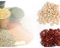 Î ÏŒÏƒÎµÏ‚ Î¸ÎµÏÎ¼Î¯Î´ÎµÏ‚ Î­Ï‡Î¿Ï…Î½ Ï„ÏÎ¿Ï†Î­Ï‚ Ï€Î¿Ï… Ï„ÏÏŽÎ¼Îµ ÎºÎ±Î¸Î·Î¼ÎµÏÎ¹Î½Î¬; Î¤Î¹ Ï€ÏÎ­Ï€ÎµÎ¹ Î½Î± Ï€ÏÎ¿ÏƒÎ­Ï‡Î¿Ï…Î¼Îµ;live-in | Η Έξυπνη, Αντικειμενική και Εναλλακτική Ενημέρωση!