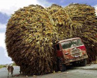 Î•ÎšÎ¤Î•Î›ÎŸÎ¥ÎÎ¤Î‘Î™ ÎœÎ•Î¤Î‘Î¦ÎŸÎ¡Î•Î£live-in | Η Έξυπνη, Αντικειμενική και Εναλλακτική Ενημέρωση!