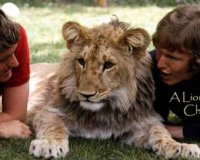 Î¤Î¿ Î²Î¯Î½Ï„ÎµÎ¿ Ï€Î¿Ï… Î­ÎºÎ±Î½Îµ Ï€Î¬Î½Ï‰ Î±Ï€ÏŒ 50.000.000 Î±Î½Î¸ÏÏŽÏ€Î¿Ï…Ï‚ Î½Î± Î´Î±ÎºÏÏÏƒÎ¿Ï…Î½!live-in | Η Έξυπνη, Αντικειμενική και Εναλλακτική Ενημέρωση!