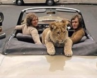 Î¤Î¿ Î²Î¯Î½Ï„ÎµÎ¿ Ï€Î¿Ï… Î­ÎºÎ±Î½Îµ Ï€Î¬Î½Ï‰ Î±Ï€ÏŒ 50.000.000 Î±Î½Î¸ÏÏŽÏ€Î¿Ï…Ï‚ Î½Î± Î´Î±ÎºÏÏÏƒÎ¿Ï…Î½!live-in | Η Έξυπνη, Αντικειμενική και Εναλλακτική Ενημέρωση!