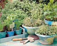 Î¤Î± Î´ÏŽÎ´ÎµÎºÎ± Î²ÏŒÏ„Î±Î½Î± Ï€Î¿Ï… ÏÎ¯Ï‡Î½Î¿Ï…Î½ Ï„Î¿Î½ Ï€Ï…ÏÎµÏ„ÏŒlive-in | Η Έξυπνη, Αντικειμενική και Εναλλακτική Ενημέρωση!