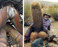 Î Î¿Î½Î·ÏÎ¬ Î¼Ï…Î±Î»Î¬!live-in | Η Έξυπνη, Αντικειμενική και Εναλλακτική Ενημέρωση!