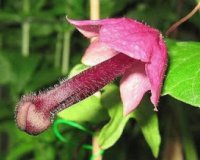 Î Î¿Î½Î·ÏÎ¬ Î¼Ï…Î±Î»Î¬!live-in | Η Έξυπνη, Αντικειμενική και Εναλλακτική Ενημέρωση!