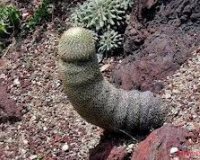 Î Î¿Î½Î·ÏÎ¬ Î¼Ï…Î±Î»Î¬!live-in | Η Έξυπνη, Αντικειμενική και Εναλλακτική Ενημέρωση!