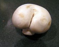 Î Î¿Î½Î·ÏÎ¬ Î¼Ï…Î±Î»Î¬!live-in | Η Έξυπνη, Αντικειμενική και Εναλλακτική Ενημέρωση!