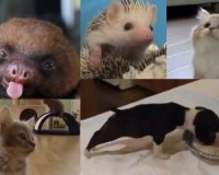 Make my day (video)live-in | Η Έξυπνη, Αντικειμενική και Εναλλακτική Ενημέρωση!