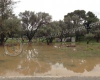 Î¤ÏÎ±Î³Ï‰Î´Î¯Î± Î»ÏŒÎ³Ï‰ Ï„Î·Ï‚ ÎºÎ±ÎºÎ¿ÎºÎ±Î¹ÏÎ¯Î±Ï‚. Î— 23Ï‡ÏÎ¿Î½Î· ÎœÎ±ÏÎ¯Î± â€“ Î‘Î³Î³ÎµÎ»Î¹ÎºÎ® ÎœÎ±Ï„ÏÎ¬Î³ÎºÎ¿Ï… Ï€Î½Î¯Î³Î·ÎºÎµ!!!live-in | Η Έξυπνη, Αντικειμενική και Εναλλακτική Ενημέρωση!