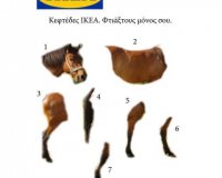 Epic!!!live-in | Η Έξυπνη, Αντικειμενική και Εναλλακτική Ενημέρωση!