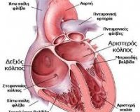 «Πώς θα αποφÏγουμε το ÎμφÏαγμα του μυοκαÏδίου»live-in | Η Έξυπνη, Αντικειμενική και Εναλλακτική Ενημέρωση!