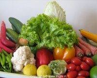 Î”Î¹Î±Ï„ÏÎ¿Ï†Î¹ÎºÎ­Ï‚ ÏƒÏ…Î¼Î²Î¿Ï…Î»Î­Ï‚ Î³Î¹Î± Î½Î± ÎºÎ±Ï„Î±Ï€Î¿Î»ÎµÎ¼Î®ÏƒÎµÏ„Îµ Ï„Î¿ Ï†Î¿ÏÏƒÎºÏ‰Î¼Î±live-in | Η Έξυπνη, Αντικειμενική και Εναλλακτική Ενημέρωση!