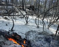 ÎžÎµÎºÎ»ÎµÎ¹Î´ÏŽÎ½Î¿Ï…Î½ 24,7 ÎµÎºÎ±Ï„Î¿Î¼Î¼ÏÏÎ¹Î± ÎµÏ…ÏÏŽ Î³Î¹Î± Ï„Î¿Ï…Ï‚ Ï€Ï…ÏÏŒÏ€Î»Î·ÎºÏ„Î¿Ï…Ï‚live-in | Η Έξυπνη, Αντικειμενική και Εναλλακτική Ενημέρωση!