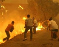 Ξεκλειδώνουν 24,7 εκατομμÏÏια ευÏÏŽ για τους πυÏόπληκτουςlive-in | Η Έξυπνη, Αντικειμενική και Εναλλακτική Ενημέρωση!
