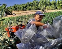 ÎœÎ±ÏŠÎ¼Î¿Ï   Î±Î³ÏÏŒÏ„Î·Ï‚ ÎµÎ¹ÏƒÎ­Ï€ÏÎ±Î¾Îµ Î¼Îµ ÎºÏŒÎ»Ï€Î¿ 184 ÎµÎº. ÎµÏ…ÏÏŽlive-in | Η Έξυπνη, Αντικειμενική και Εναλλακτική Ενημέρωση!