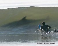 Î‘Î½ Î­Ï‡ÎµÎ¹Ï‚ Ï„ÏÏ‡Î· Î´Î¹Î¬Î²Î±Î¹Î½Îµ!live-in | Η Έξυπνη, Αντικειμενική και Εναλλακτική Ενημέρωση!