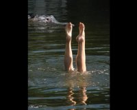 Î‘Î½ Î­Ï‡ÎµÎ¹Ï‚ Ï„ÏÏ‡Î· Î´Î¹Î¬Î²Î±Î¹Î½Îµ!live-in | Η Έξυπνη, Αντικειμενική και Εναλλακτική Ενημέρωση!