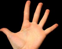 Î”ÎµÎ¯Î¾Îµ Î¼Î¿Ï… Ï„Î± Î´Î¬Ï‡Ï„Ï…Î»Î¬ ÏƒÎ¿Ï…, Î½Î± ÏƒÎ¿Ï… Ï€Ï‰ Î±Î½ Î¸Î± Ï€ÎµÏ„ÏÏ‡ÎµÎ¹Ï‚!live-in | Η Έξυπνη, Αντικειμενική και Εναλλακτική Ενημέρωση!