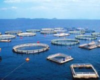Î£Ï„Î·Î½ Î Î¹ÎµÏÎ¯Î± Î¹Î´ÏÏÎµÏ„Î±Î¹ Î· Ï€ÏÏŽÏ„Î· Ï€ÎµÏÎ¹Î¿Ï‡Î® ÎŸÏÎ³Î±Î½Ï‰Î¼Î­Î½Î·Ï‚ Î‘Î½Î¬Ï€Ï„Ï…Î¾Î·Ï‚ Î¥Î´Î±Ï„Î¿ÎºÎ±Î»Î»Î¹ÎµÏÎ³ÎµÎ¹ÏŽÎ½live-in | Η Έξυπνη, Αντικειμενική και Εναλλακτική Ενημέρωση!