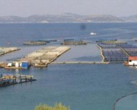 Î£Ï„Î·Î½ Î Î¹ÎµÏÎ¯Î± Î¹Î´ÏÏÎµÏ„Î±Î¹ Î· Ï€ÏÏŽÏ„Î· Ï€ÎµÏÎ¹Î¿Ï‡Î® ÎŸÏÎ³Î±Î½Ï‰Î¼Î­Î½Î·Ï‚ Î‘Î½Î¬Ï€Ï„Ï…Î¾Î·Ï‚ Î¥Î´Î±Ï„Î¿ÎºÎ±Î»Î»Î¹ÎµÏÎ³ÎµÎ¹ÏŽÎ½live-in | Η Έξυπνη, Αντικειμενική και Εναλλακτική Ενημέρωση!