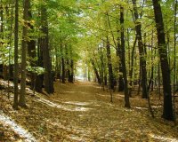 Î Î®ÏÎµ Ï„Î± Î²Î¿Ï…Î½Î¬, ÎºÏ…ÏÎ¹Î¿Î»ÎµÎºÏ„Î¹ÎºÎ¬ - Î–Î¿ÏÏƒÎµ Î¿Î»Î¿Î¼ÏŒÎ½Î±Ï‡Î¿Ï‚ ÏƒÏ„Î¿ Î´Î¬ÏƒÎ¿Ï‚ ÎµÏ€Î¹ 27 Ï‡ÏÏŒÎ½Î¹Î±!live-in | Η Έξυπνη, Αντικειμενική και Εναλλακτική Ενημέρωση!