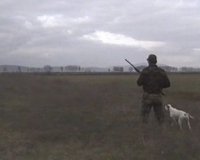 Î£Ï„Î· Î¼Î¬Ï‡Î· ÎºÎ±Ï„Î¬ Ï„Î·Ï‚ Î»Î±Î¸ÏÎ¿Î¸Î·ÏÎ¯Î±Ï‚ Î•Î»Î»Î¬Î´Î±, Î™Ï„Î±Î»Î¯Î± ÎºÎ±Î¹ Î™ÏƒÏ€Î±Î½Î¯Î±live-in | Η Έξυπνη, Αντικειμενική και Εναλλακτική Ενημέρωση!